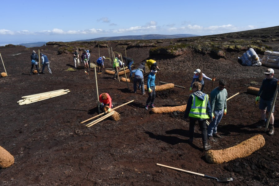 Peatland-Restorations-LN