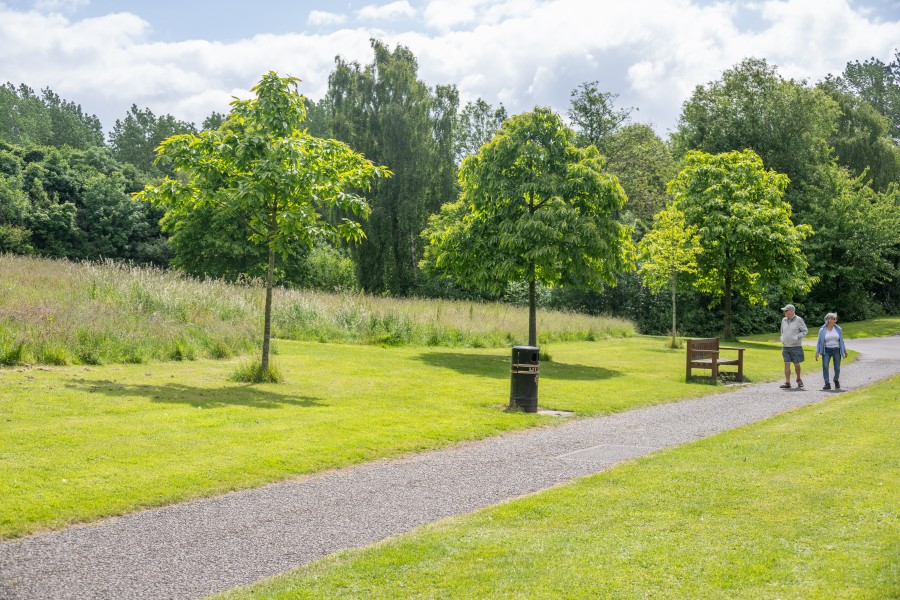 Tymon-Park-2