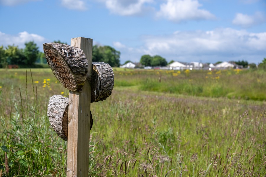 Tymon-Park-3-(1)