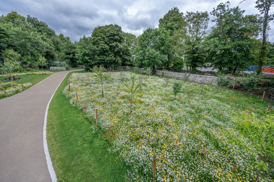 Tandys-lane-Park-SuDS-900px