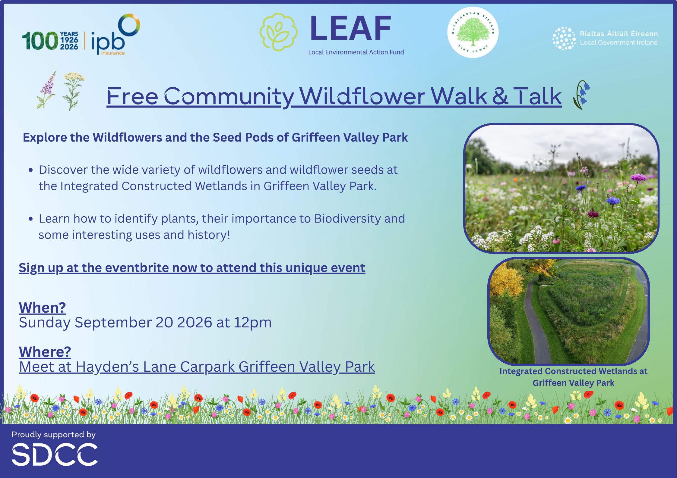 Copy-of-RVTT-Education-walks-(Wk-2-wildflowers)-(4)