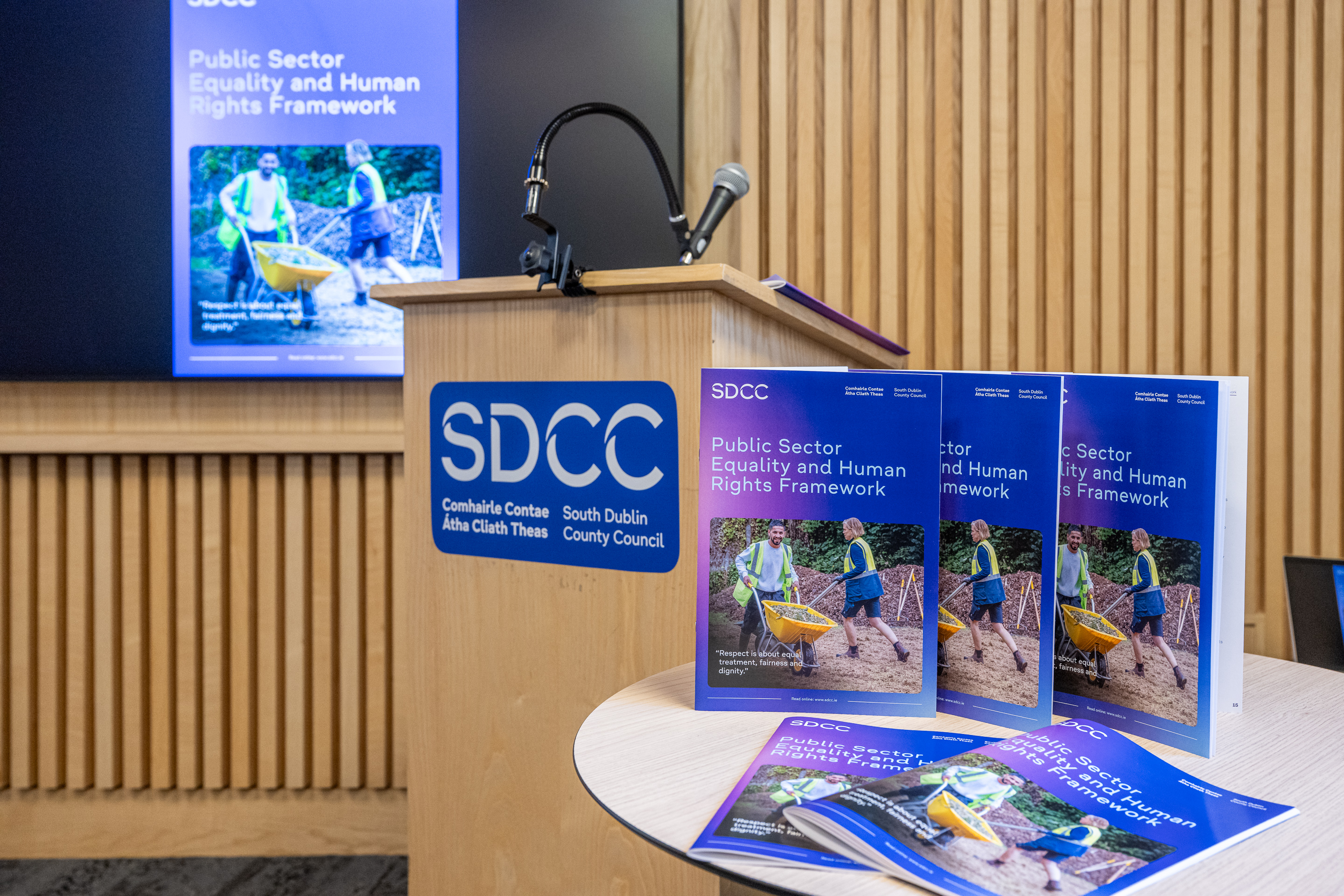 SDCC---Public-Sector-Equality---Ben-Ryan-01 SDCC---Public-Sector-Equality---Ben-Ryan-01