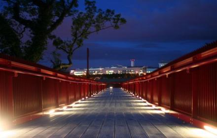 Grange Castle Bridge at night