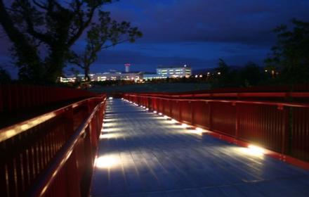 Bridge and Pfizer at night582f