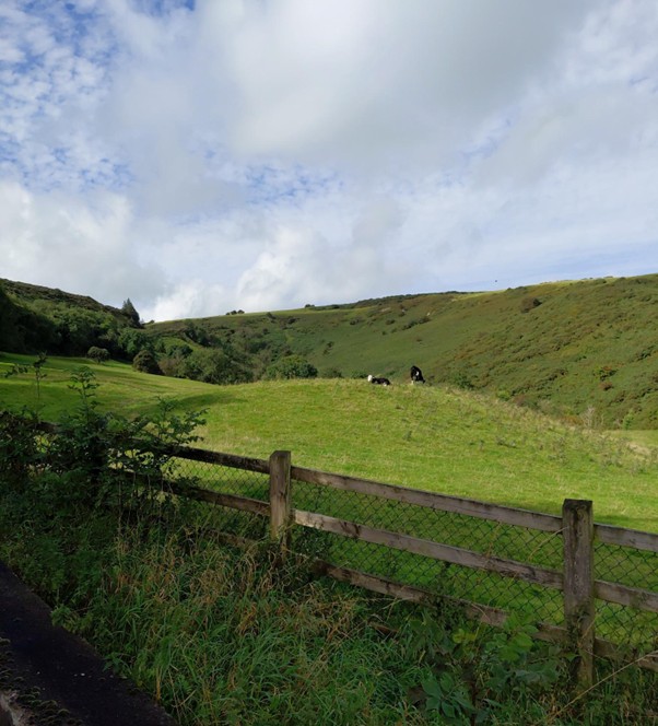 Farming-Pic-4 Farming-Pic-4