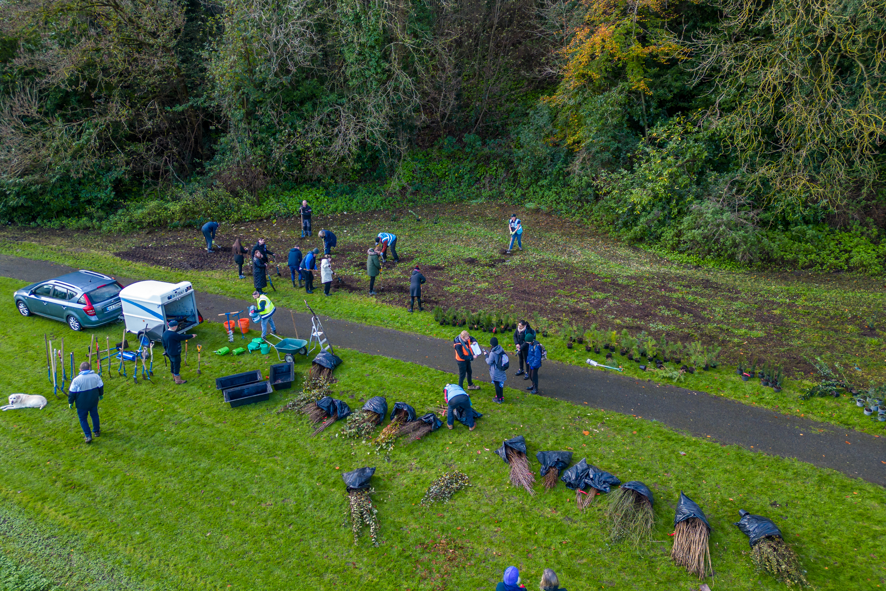 5---Plants-delivered-for-planting-at-Mill-Lane-Park-Mini-Woodland