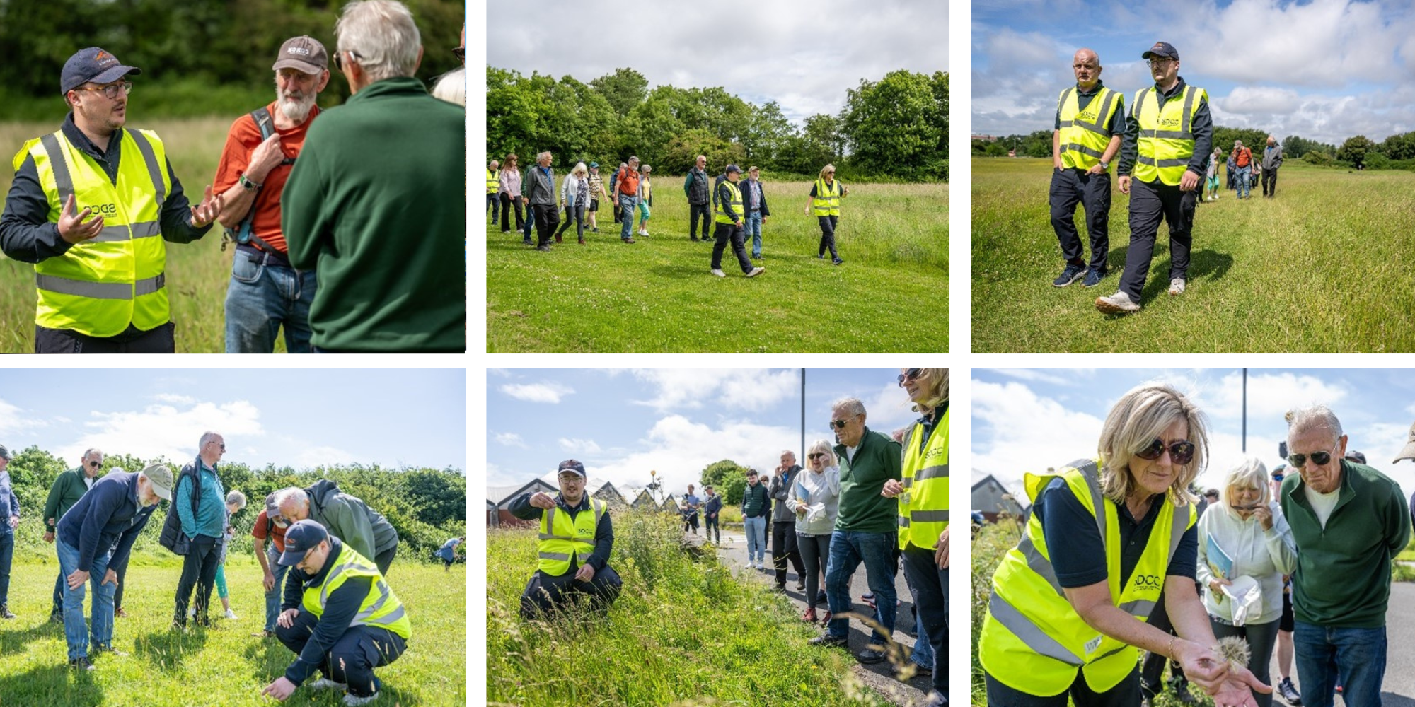 Park-Rangers-Collage-